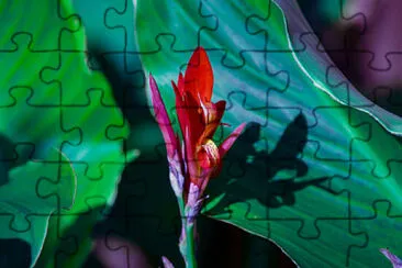  jigsaw puzzle