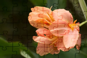 OK jigsaw puzzle