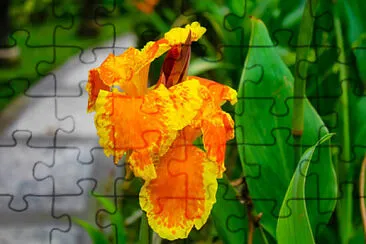  jigsaw puzzle