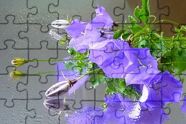  jigsaw puzzle