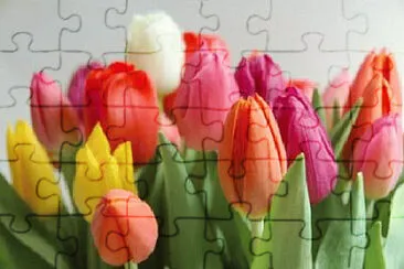  jigsaw puzzle