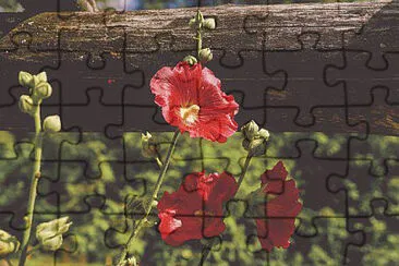 OK jigsaw puzzle