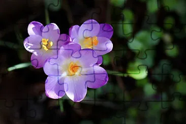 OK jigsaw puzzle