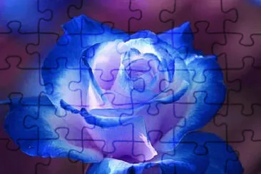  jigsaw puzzle