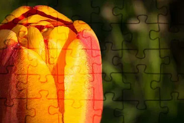  jigsaw puzzle