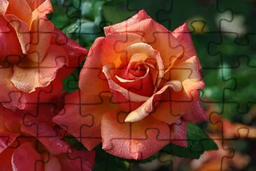 OK jigsaw puzzle