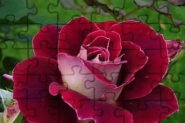 OK jigsaw puzzle