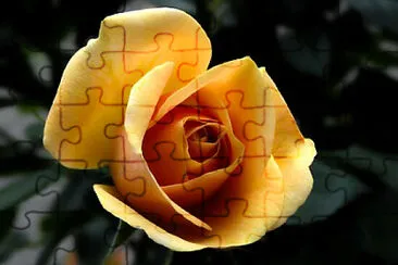 OK jigsaw puzzle