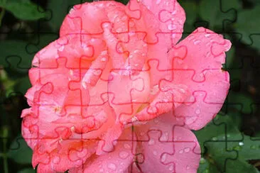 OK jigsaw puzzle
