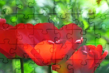 OK jigsaw puzzle