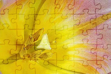 OK jigsaw puzzle