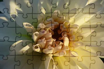 OK jigsaw puzzle