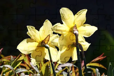 OK jigsaw puzzle