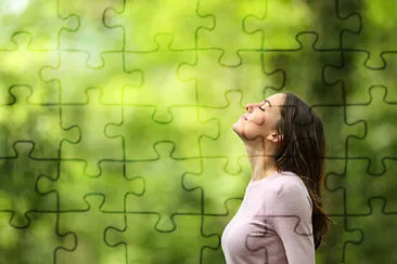 Toy jigsaw puzzle
