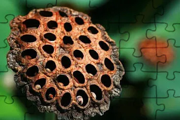 Toy jigsaw puzzle