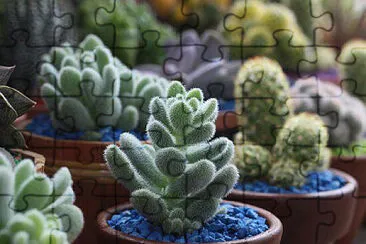 Toy jigsaw puzzle