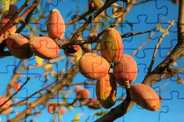 Toy jigsaw puzzle