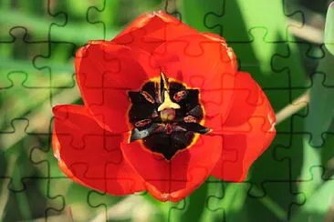 OK jigsaw puzzle