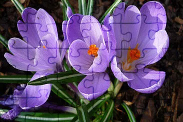 OK jigsaw puzzle