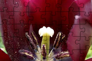OK jigsaw puzzle