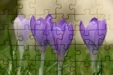 OK jigsaw puzzle
