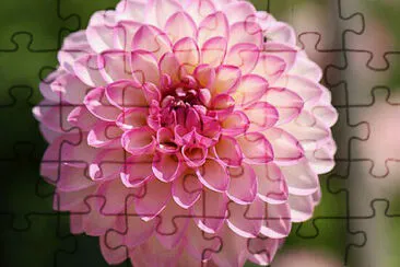 OK jigsaw puzzle