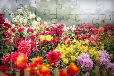OK jigsaw puzzle