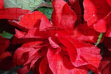 OK jigsaw puzzle