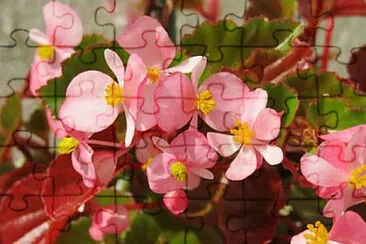OK jigsaw puzzle