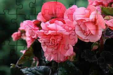 OK jigsaw puzzle