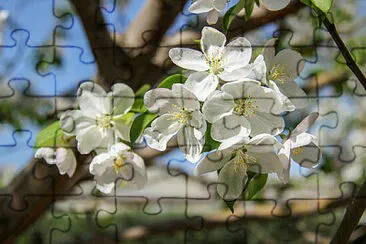 OK jigsaw puzzle