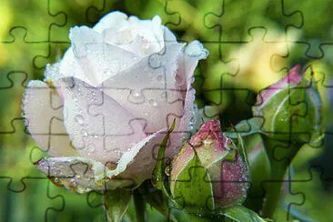 OK jigsaw puzzle