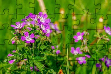 OK jigsaw puzzle