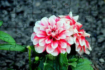 OK jigsaw puzzle