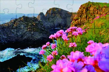  jigsaw puzzle
