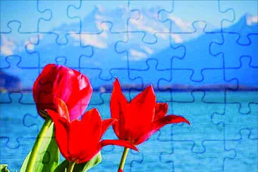  jigsaw puzzle