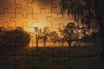 Toy jigsaw puzzle