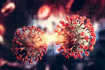 Toy jigsaw puzzle