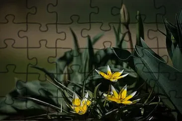 Toy jigsaw puzzle