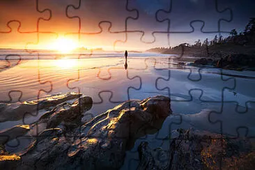 Toy jigsaw puzzle