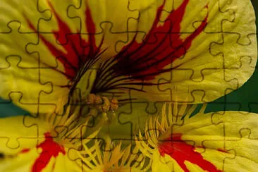 OK jigsaw puzzle