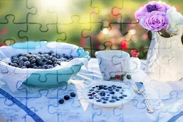 Toy jigsaw puzzle