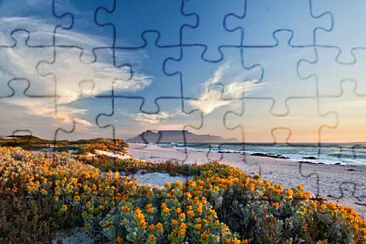  jigsaw puzzle