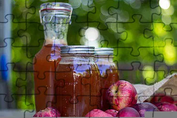Toy jigsaw puzzle