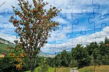 פאזל של Nature