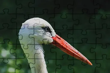 פאזל של Toy