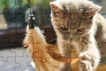 Toy jigsaw puzzle