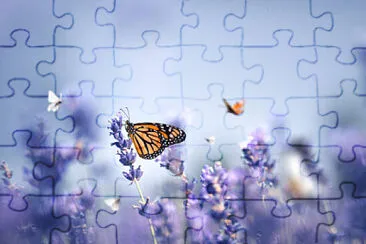 Toy jigsaw puzzle