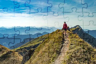 Toy jigsaw puzzle