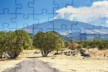 Toy jigsaw puzzle
